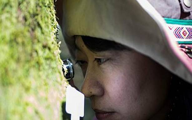 Moss Tour Japan