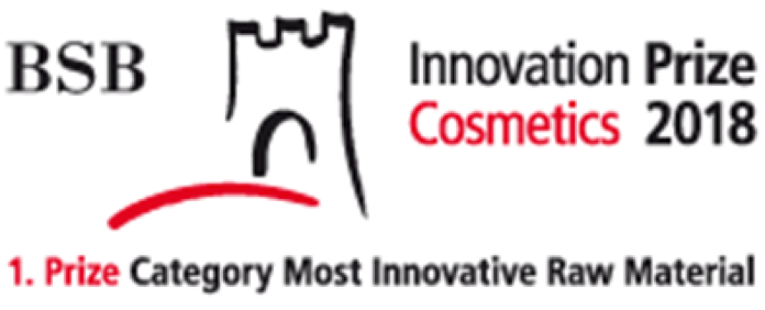 BSB Innovation Price