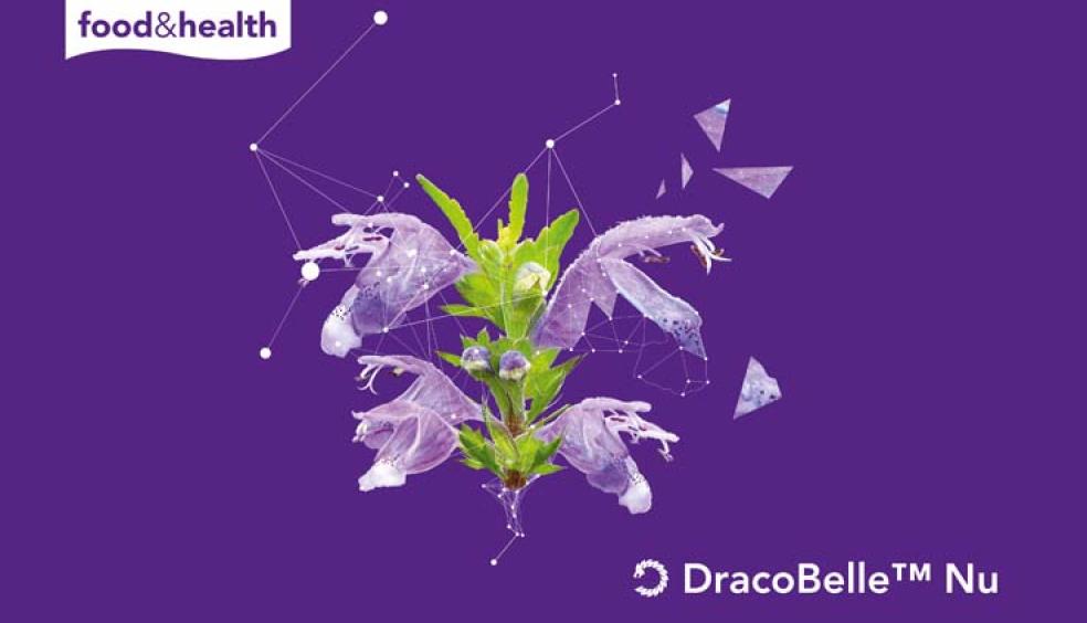 DracoBelle™ Nu teaser